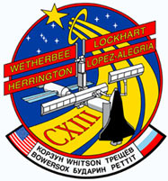 STS-113 Logo